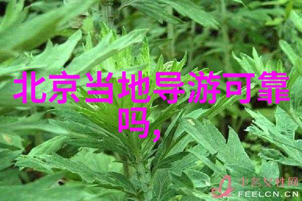 探秘西藏神秘2天3夜的高原奇遇