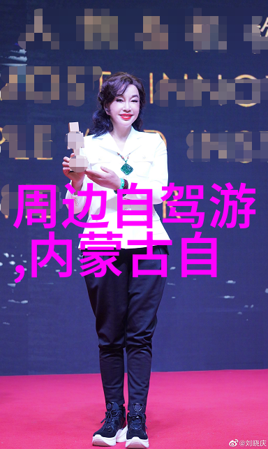 西安必吃美食攻略 - 品味历史的味道揭秘老城区美食宝藏