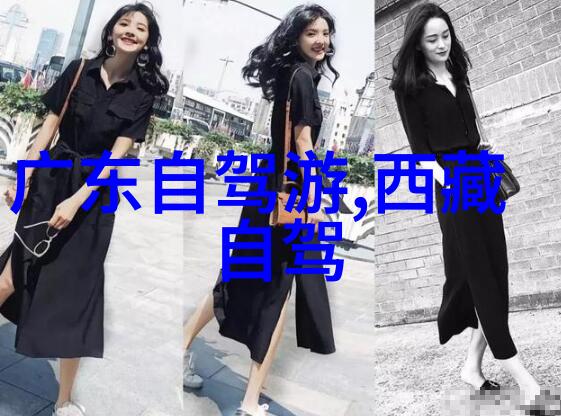 碾压市场揭秘公认最好省力自行车之所以成为业界宠儿