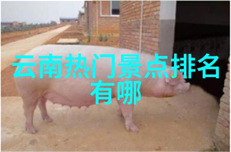 在成都能不能体验到四季分明的自然风光