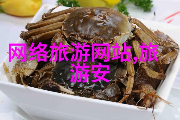 团队精神的骑行探索与他人的共鸣之旅