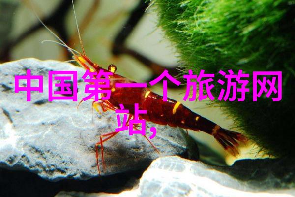 风中的翱翔骑行之美的无限篇章