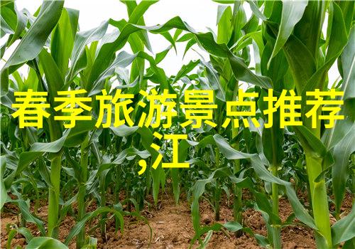 探索旅游迷雾解析常见旅行问题与解决策略