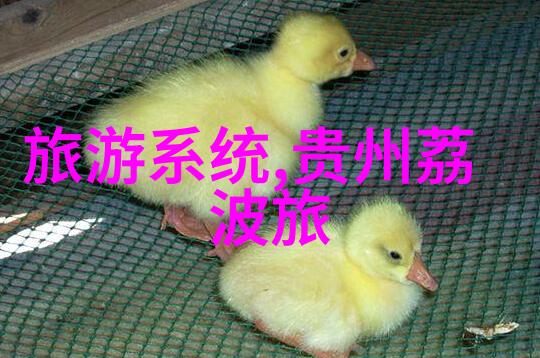 活动盛宴在区100个响亮的活动名称推荐