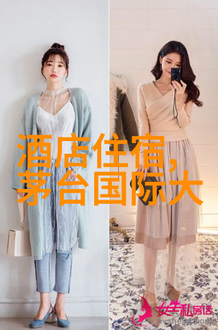 首次访京指南北京旅游初体验的学术探究