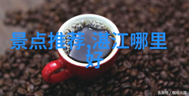 晨曦小说网黎明前的故事探秘