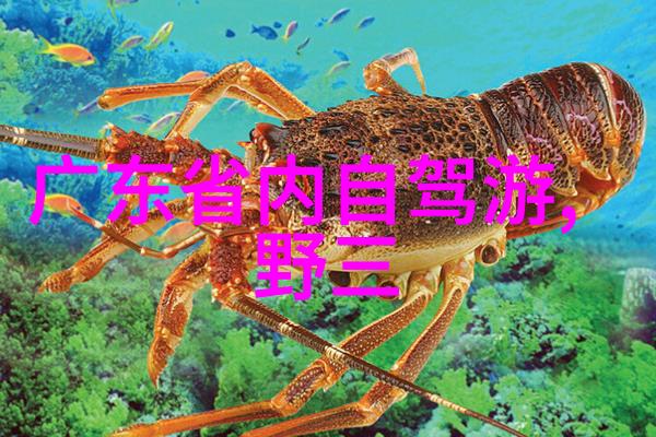从故宫到颐和园一次不一样的历史文化之旅 北京最具特色自助游航迹分享