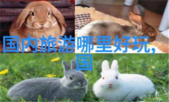 如何规划一场充满惊喜的川藏线自驾游