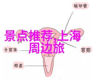 骑行乐趣双刃剑揭秘运动的好处与潜在风险