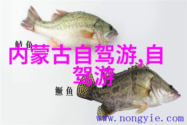 十一月自驾游经典线路秋意浓郁的山区探秘之旅