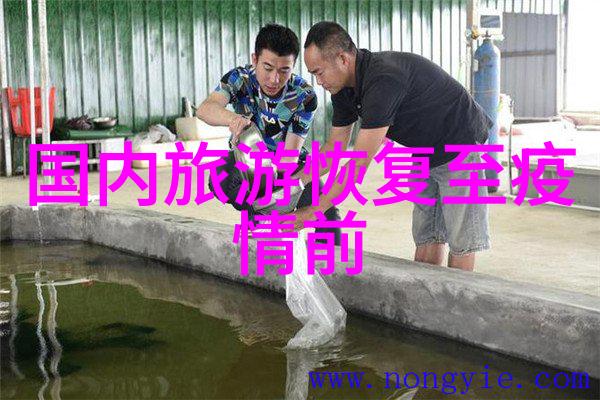 家常味道的传递探索厨房小红书中的日常美食