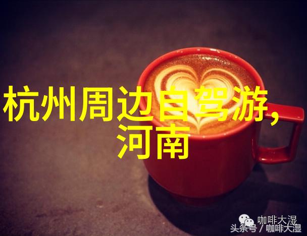未解之谜小学生的秘密森林冒险