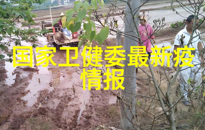 中国34个省的旅游景点-探索大国之美揭秘中国各省的最佳旅行目的地
