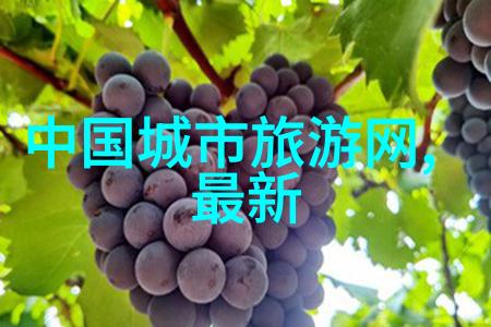 乌镇旅游攻略自由行我的体验分享