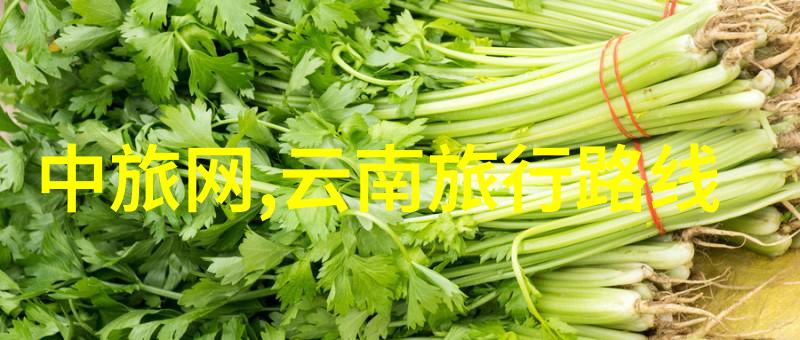 游记作文怎么写我是如何成为一名优秀的游记作家