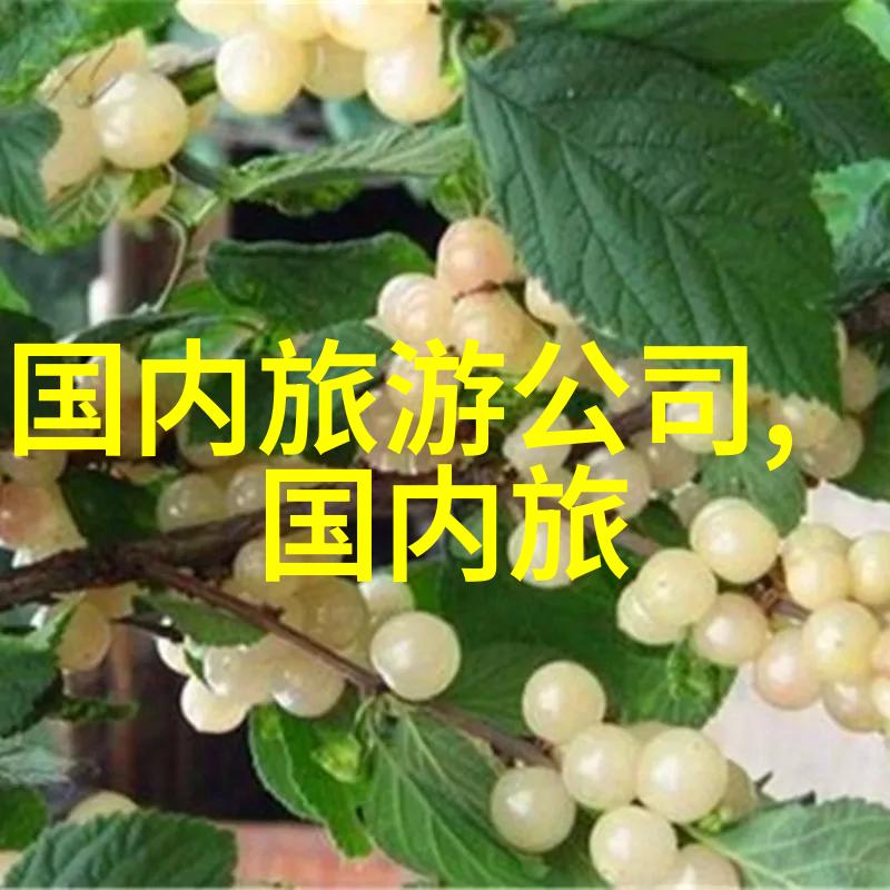 背后的禁令揭秘不让出国的真实原因