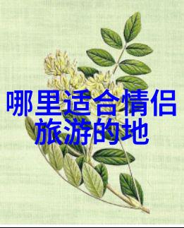 探索甘肃美景一段自驾旅行的回忆