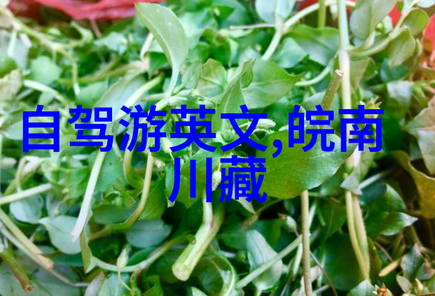 中国大地上的自然奇迹探索十佳风光胜地