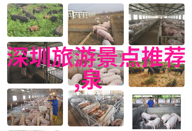 重庆美食大汇总火锅串串香涮羊肉