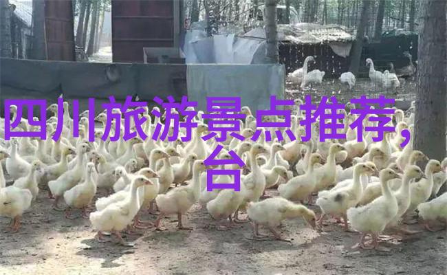 从云南地图到现实世界探索那些隐藏在角落的小镇生活方式