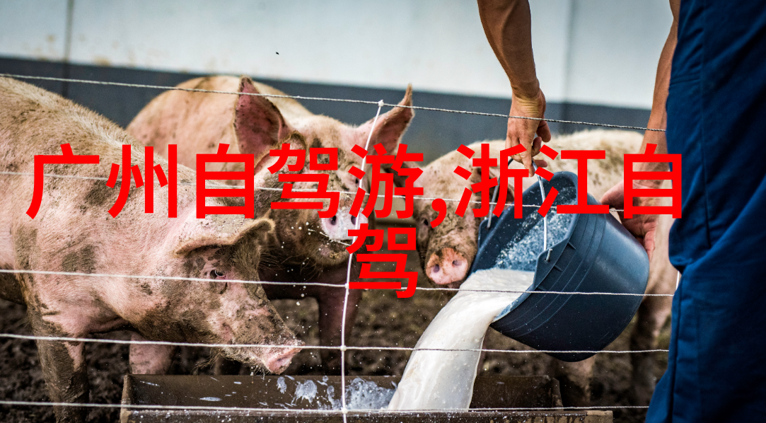 九寨沟探秘揭秘水光山色之谜
