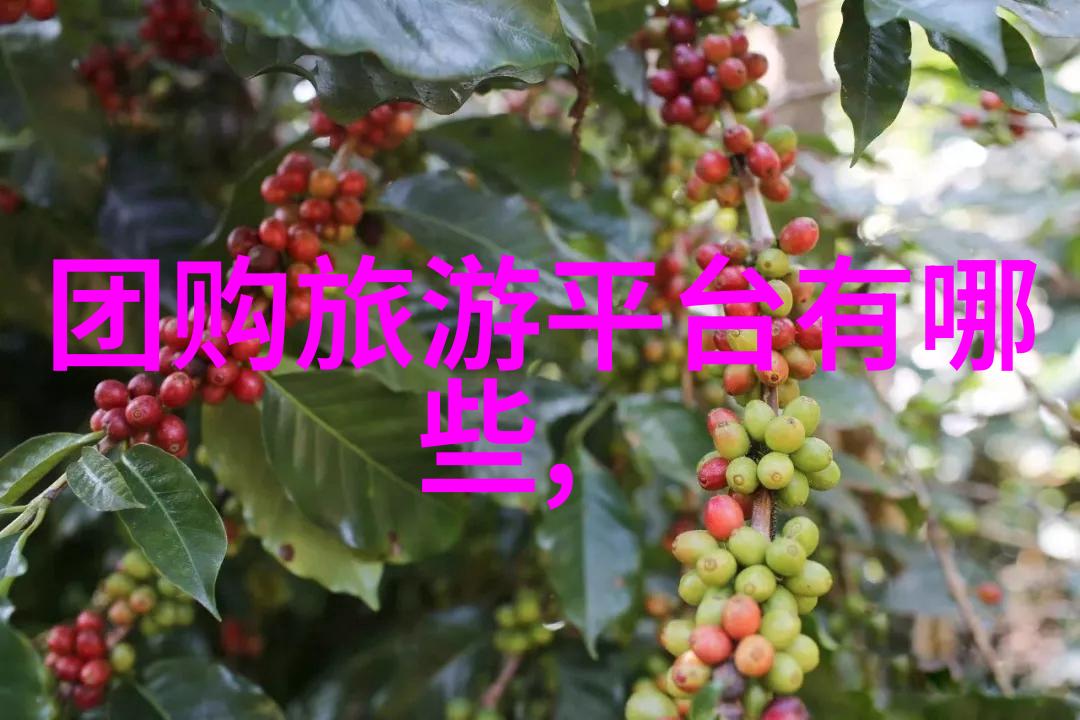 自驾游论坛我的神奇旅途分享平台