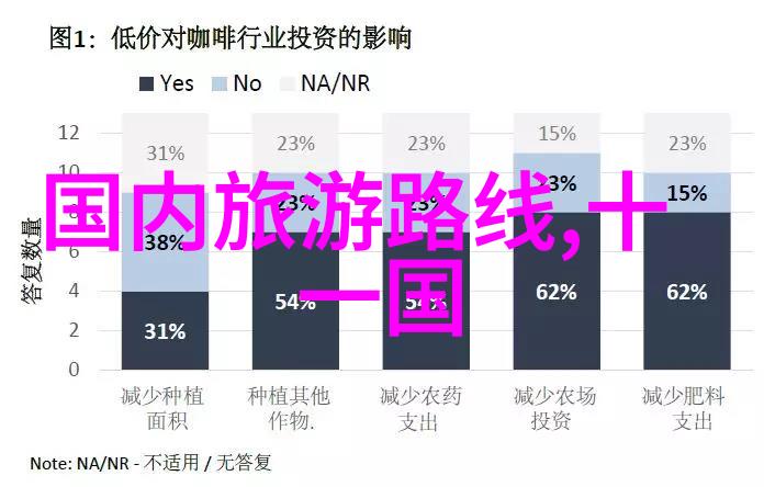 极速骑行4版选购指南解锁最佳游戏体验
