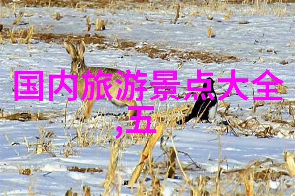 夏日云南之旅探索大理丽江的自然美与人文韵