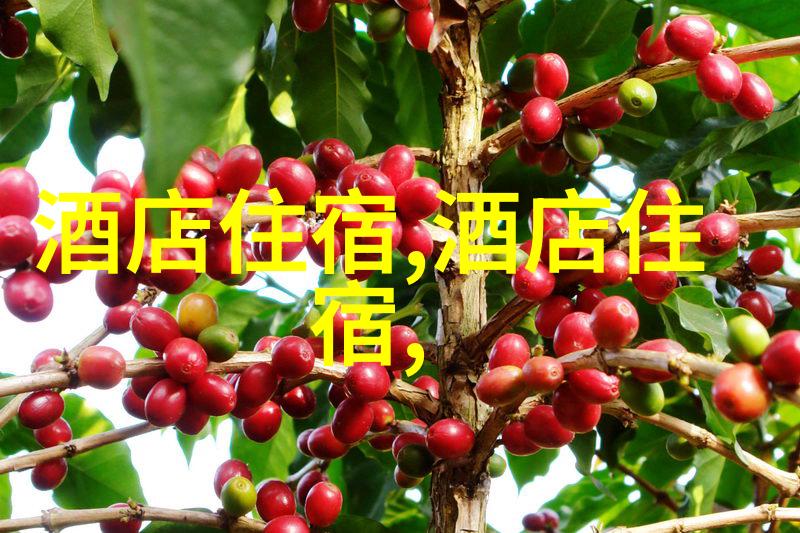重庆到苗寨多少公里