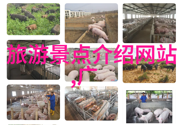 天域苍穹最新章节我终于知道了大结局的秘密