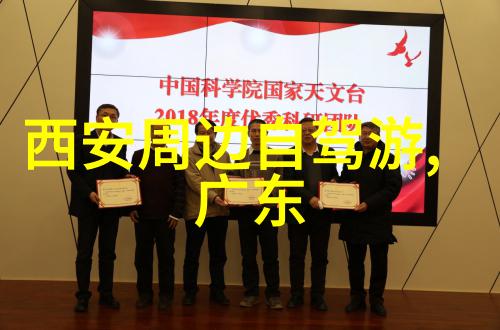 城市边缘的野性生存一场不期而至的人类与野兽对决