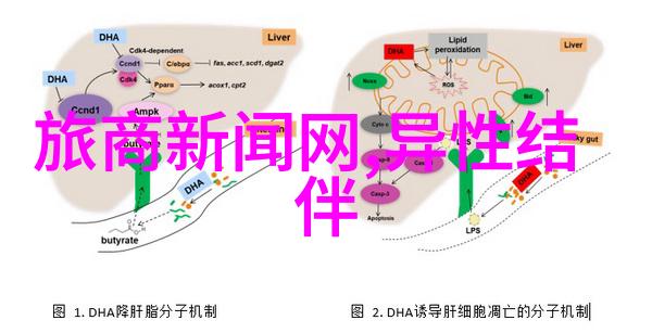 北京升国旗观摩之旅住宿攻略解析