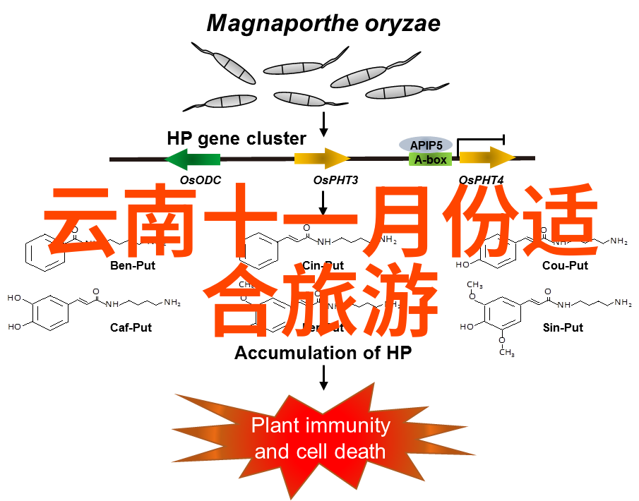 近期最新旅游热点新闻我带你去看山不看海最火的秘境