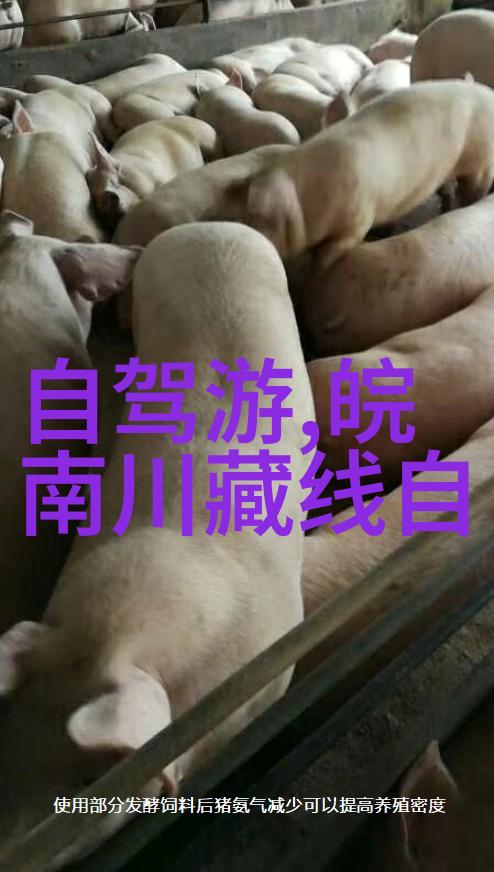 新春之旅热潮国内游客追逐温暖假期体验