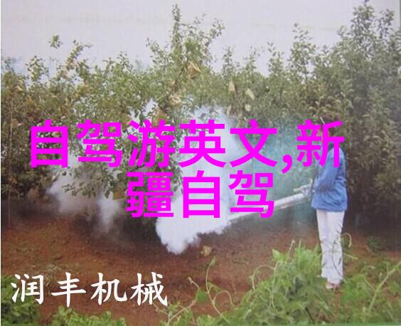 探索津门周边寻觅古今风光的自驾奇遇