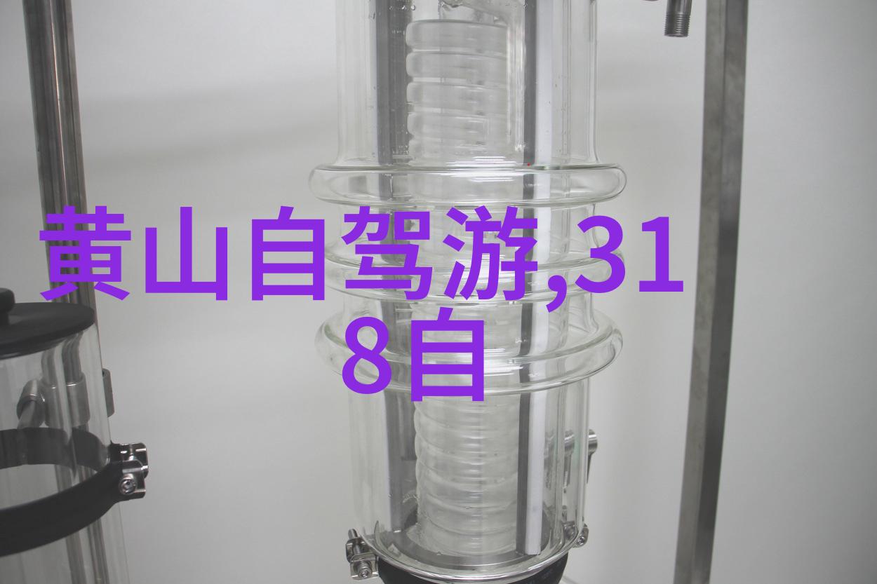 大雁塔下的故事了解唐朝佛教艺术的精髓