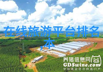 我需要注意哪些方面来避免在持续骑行中出现过度疲劳症状