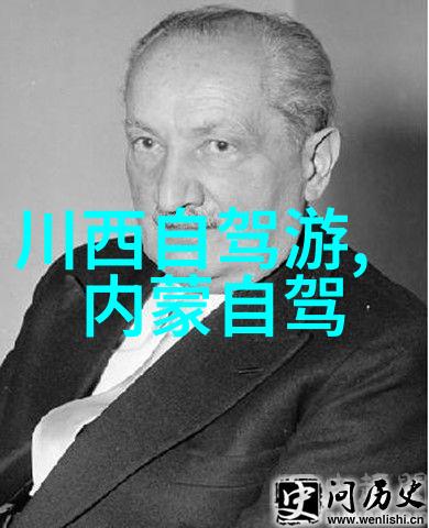 公认最好省力自行车 - 轻松骑行探索全球最佳省力自行车的秘诀