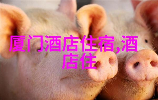 南京特色餐馆排名前十-品味江苏揭秘南京最受欢迎的十大美食之家