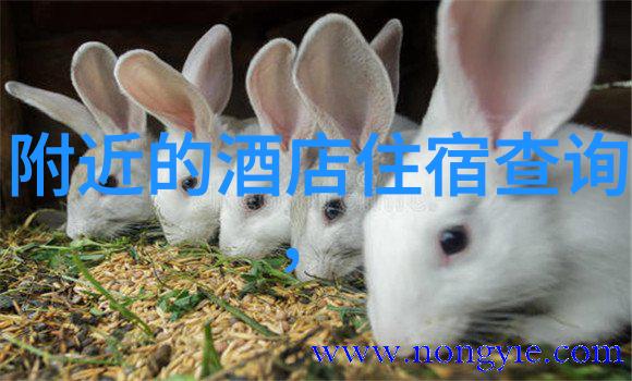 为什么瑞士阿尔卑斯山脉成为了全球登山爱好者的梦想目的地