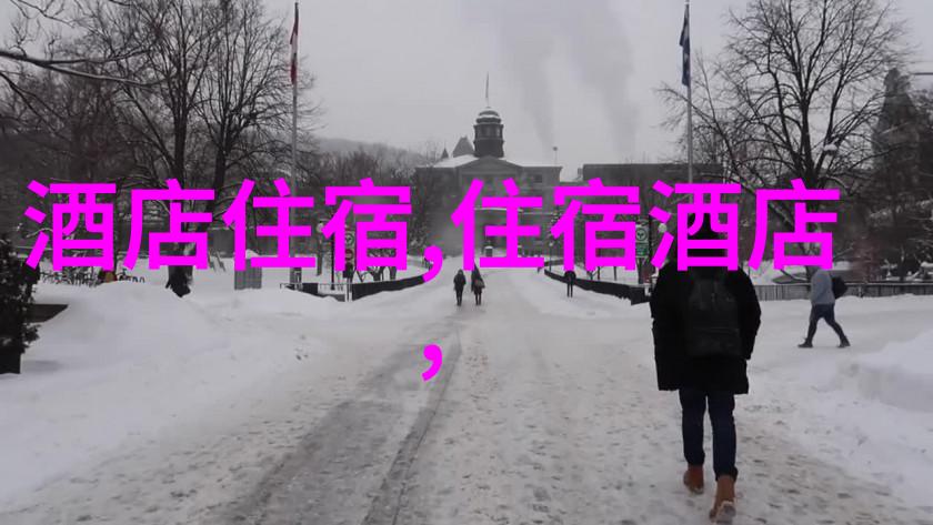 大连自驾游必备指南规划出行享受海滨之旅