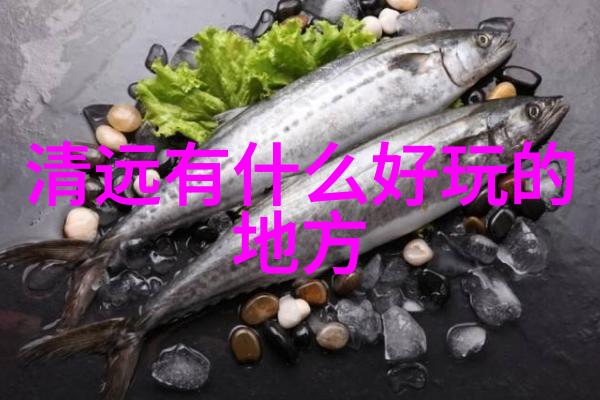 探索奇境600字游记精选