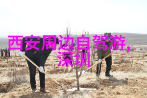 深海潜游者发现神秘遗迹背后的秘密将揭晓吗