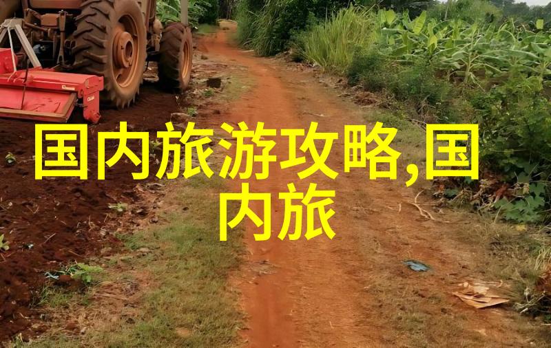 探索青海高原自驾游的奇迹之旅