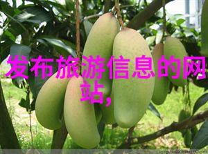 乱流中的骑行揭秘城市自行车群体的真相