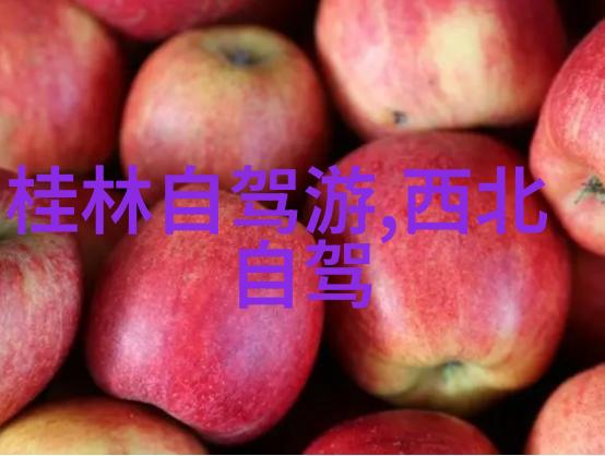 国内旅游推荐-探索中国美丽一站到底的最佳行程指南