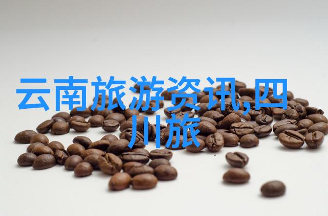 强化舌尖上的旅行记忆哪些扬州小吃能让你的旅程更加难忘