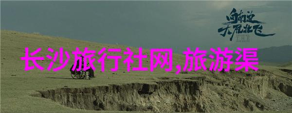 甜品大师在行动揭秘专业人士如何运用面点制作花样的技巧