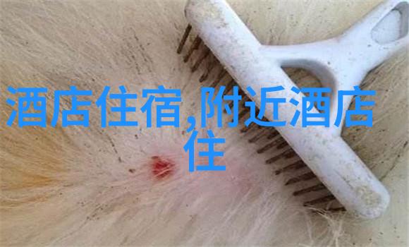 骑行生活-自由之翼探索骑行生活的魅力与挑战
