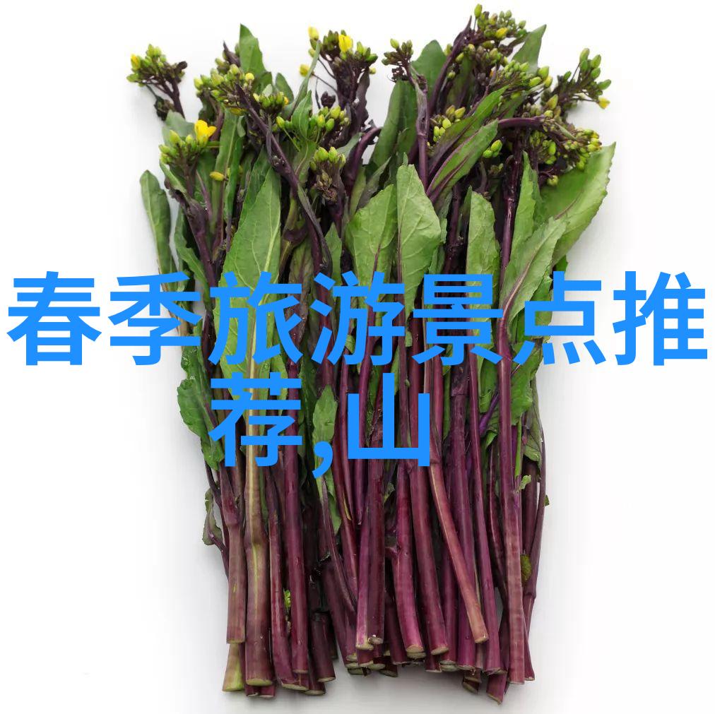 南京318自驾游必看景点物品级风光不容错过